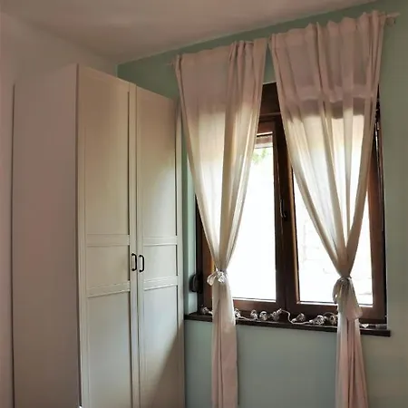 Jungle & Sea Boxavia * Bozava