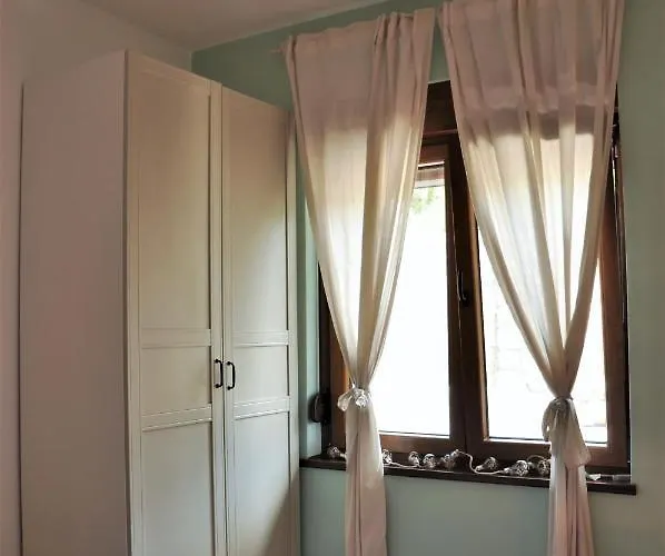 Jungle & Sea Boxavia * Bozava